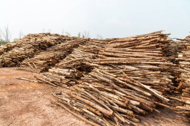 Evi ısıtmak için hazırlanmış odun yığını, kışın ısınmak için toplanmış odun yığını, yığılmış odun yığını ve kış için hazırlanmış odun yığını..