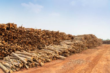 Evi ısıtmak için hazırlanmış odun yığını, kışın ısınmak için toplanmış odun yığını, yığılmış odun yığını ve kış için hazırlanmış odun yığını..