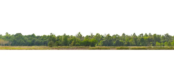 Panorama Ansicht Einer Hochauflösenden Baumgrenze Isoliert Auf Weißem Hintergrund — Stockfoto