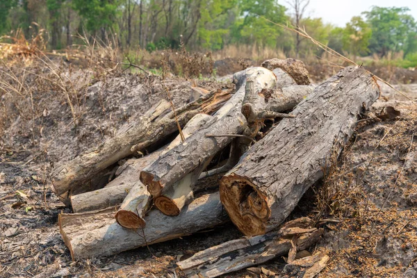 Una Pila Legna Ardere Accatastata Preparata Riscaldare Casa Raccogliere Legna — Foto Stock