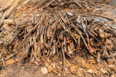 Kış için yakacak odun hazırlıyorum. Yakacak odun geçmişi, ormanda yakacak odun yığınları. Yakacak odun yığını.