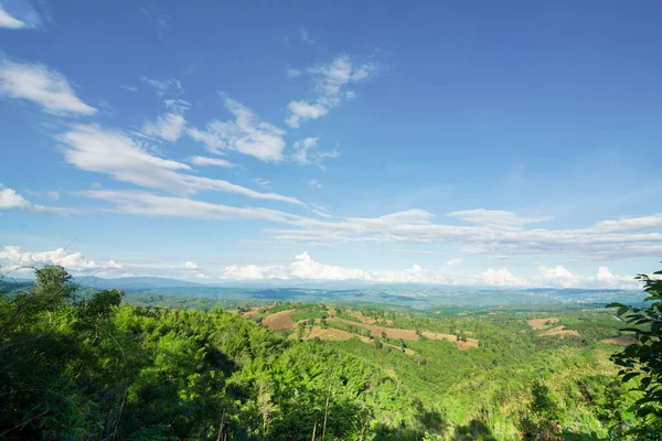 Panorama Van Het Prachtige Landschap Van Phu Ruea Loei Thailand — Stockfoto