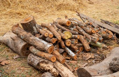 Evi ısıtmak için hazırlanmış odun yığını, kışın ısınmak için toplanmış odun yığını, yığılmış odun yığını ve kış için hazırlanmış odun yığını..