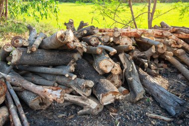 Evi ısıtmak için hazırlanmış odun yığını, kışın ısınmak için toplanmış odun yığını, yığılmış odun yığını ve kış için hazırlanmış odun yığını..