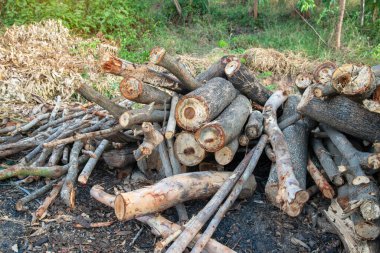 Evi ısıtmak için hazırlanmış odun yığını, kışın ısınmak için toplanmış odun yığını, yığılmış odun yığını ve kış için hazırlanmış odun yığını..