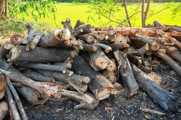 Evi ısıtmak için hazırlanmış odun yığını, kışın ısınmak için toplanmış odun yığını, yığılmış odun yığını ve kış için hazırlanmış odun yığını..