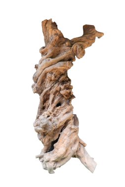 Beyaz arkaplanda izole edilmiş ölü ağaç, kırpma yolu.