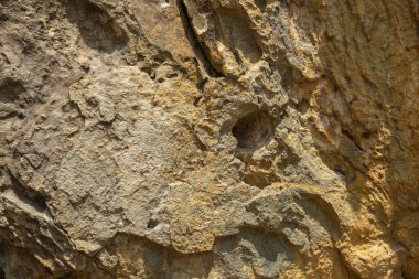 The beautiful texture of the ancient stone of Thailand.