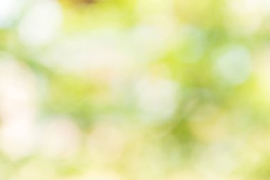 Bulanık doğa, soyut Bokeh özgeçmişi. Daha iyi bir tatil konsepti..