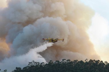 Bir Canadair CL-215 itfaiye uçağı orman yangınının bulutlarında