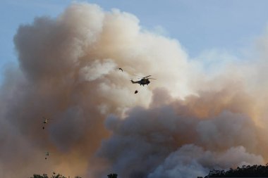 Orman yangınında uçan üç itfaiye helikopterinin silüeti.