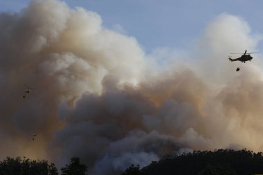 Orman yangınında uçan üç itfaiye helikopterinin silüeti.