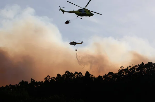 Orman yangınında uçan iki itfaiye helikopterinin silüeti.