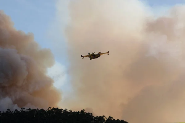 Bir Canadair CL-215 itfaiye uçağı orman yangınının bulutlarında