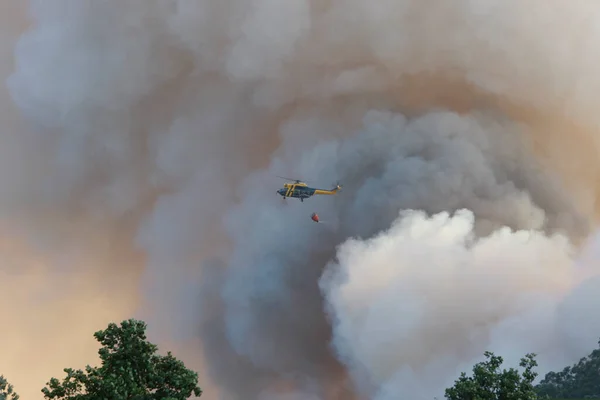 Bir helikopter orman yangınından çıkan duman bulutlarının arasında su boşaltarak uçar.