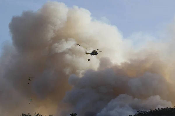 Orman yangınında uçan üç itfaiye helikopterinin silüeti.