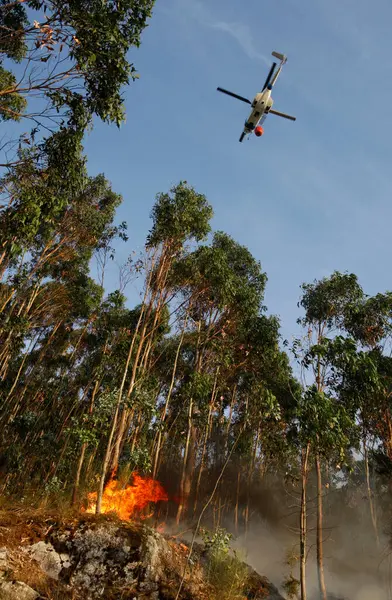 Hélicoptère Lutte Contre Les Incendies Tente Éteindre Feu Feu Forêt — Photo