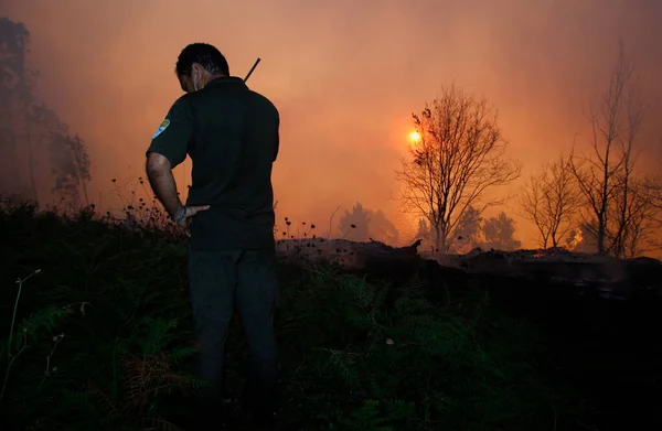 Technicien Forestier Supervise Incendie Forêt Galice — Photo