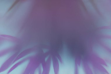 Devedikeni çiçeğinin sanatsal ve odak dışı görüntüsü