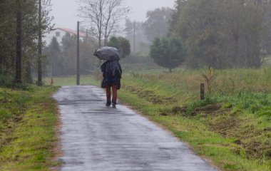 Portekiz Camino de Santiago 'sunda yağmurda şemsiyesi olan bir seyyah.