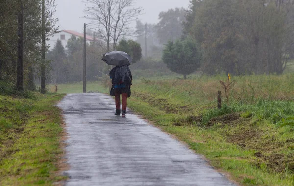 Portekiz Camino de Santiago 'sunda yağmurda şemsiyesi olan bir seyyah.