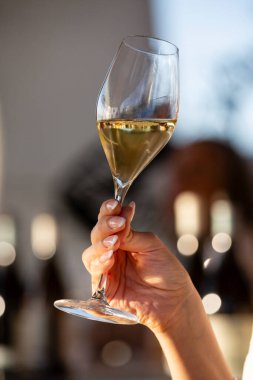 Sağ el, kristal bardağı beyaz şarapla tutar.