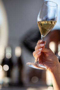 Sağ el, kristal bardağı beyaz şarapla tutar.