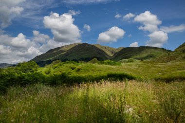 Yazın yeşil çimenli tarlaları ve Glenfinnan dağlarını görmek. İskoçya Dağları