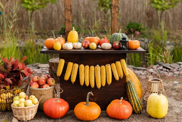 Herbstmarkt Herbstessen Auf Der Holztheke Auf Dem Jahrmarkt Kürbisse Äpfel — Stockfoto