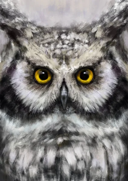 Hibou Des Marais Portrait Graphique Coloré Hibou Sur Fond Blanc — Photo