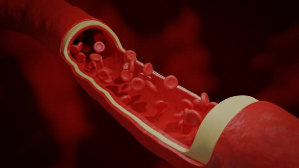 Medical Animation Red Blood Cells Flow Blood Vessel Circulatory System — стокове відео