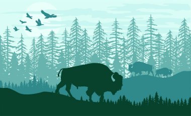 MODERN DESİGN BÖLGESİ BÖLGESİ NATRAL LANDSCAPE PINETREE GÜNEŞ GÜNEŞ GÜNEŞİ SILHOUETTE