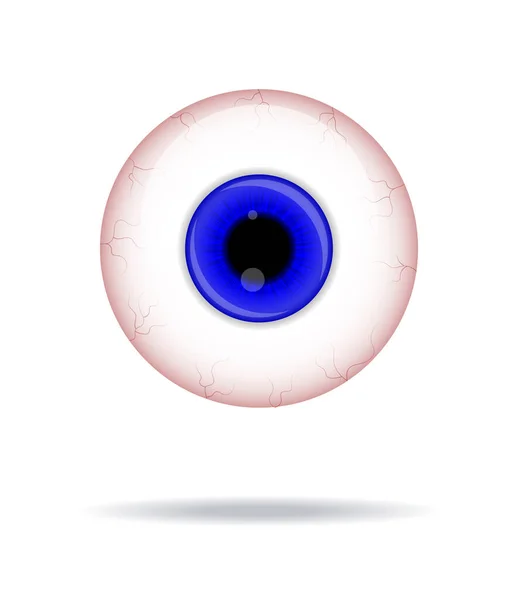 現実的な人間の眼球 眼球に青い虹彩の写真ベクトルイラスト — ストックベクタ