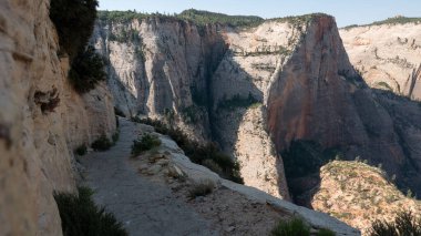 Zion national park peyzaj