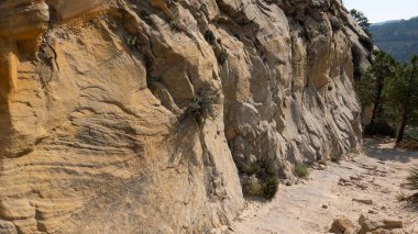 Zion national park peyzaj