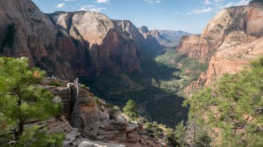 Zion national park peyzaj