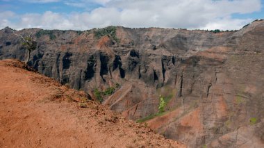 Kauai Adası 'nın güzel manzarası
