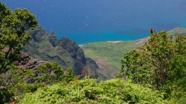 Kauai Adası 'nın güzel manzarası