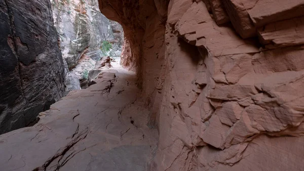 Parque Nacional Zion Paisagem — Fotografia de Stock