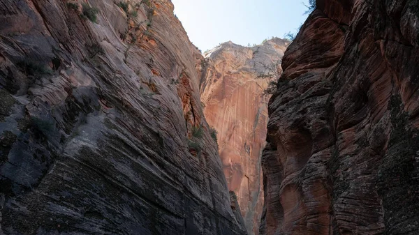 Parque Nacional Zion Paisagem — Fotografia de Stock