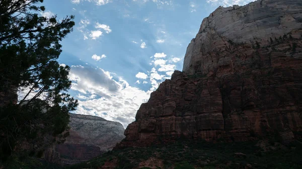 Zion National Park Landscape — Stock Photo, Image