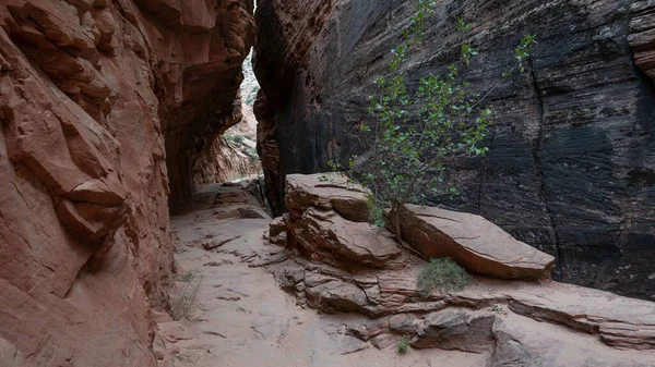 Parque Nacional Zion Paisagem — Fotografia de Stock