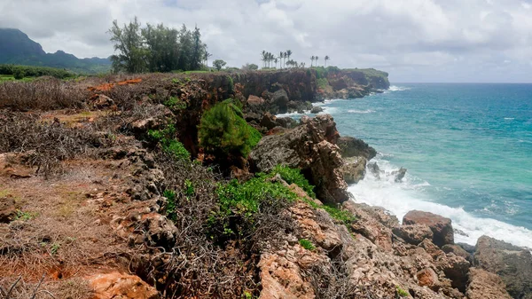 Beautiful Landscape Kauai Island — Stockfoto