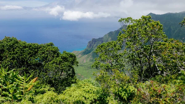 Krásná Krajina Ostrově Kauai — Stock fotografie