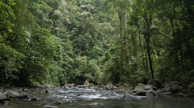 Kosta Rika 'da Güzel Manzara