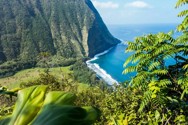 Beautiful Landscape Big Island Hawaii Jogdíjmentes Stock Képek