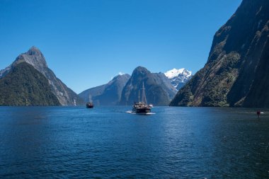 Yeni Zelanda güzel manzara