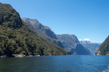 Yeni Zelanda güzel manzara