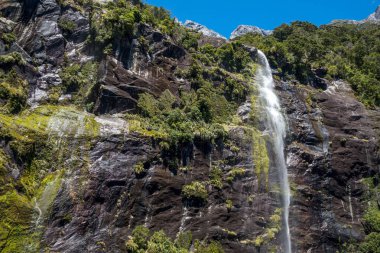 Yeni Zelanda güzel manzara