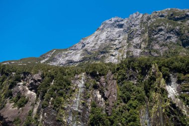 Yeni Zelanda güzel manzara
